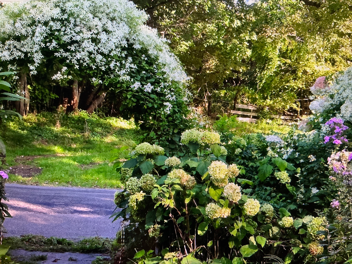 Rooms for rent / Rhinebeck/historical Dutch colonial close to town / quiet neighborhood - Photo 7