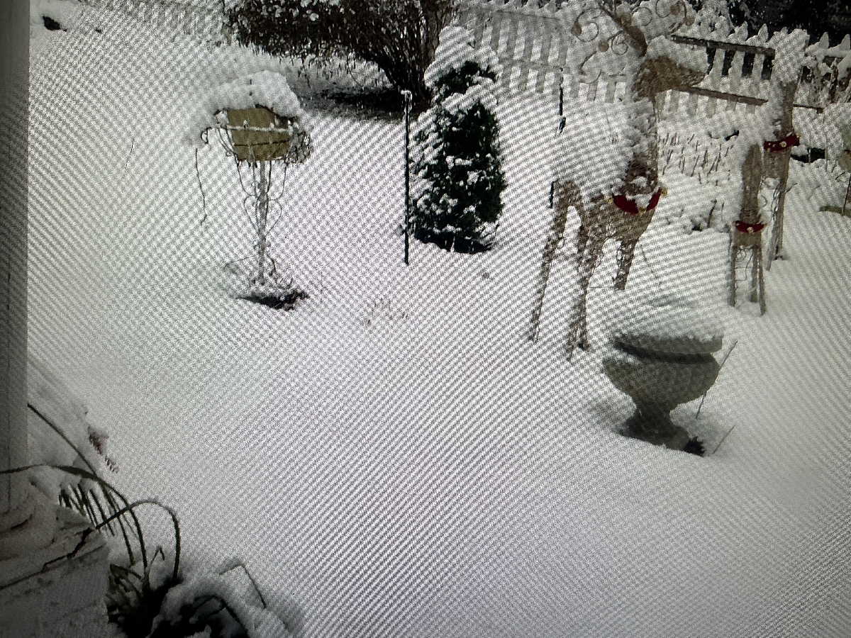 Rooms for rent / Rhinebeck/historical Dutch colonial close to town / quiet neighborhood - Photo 12
