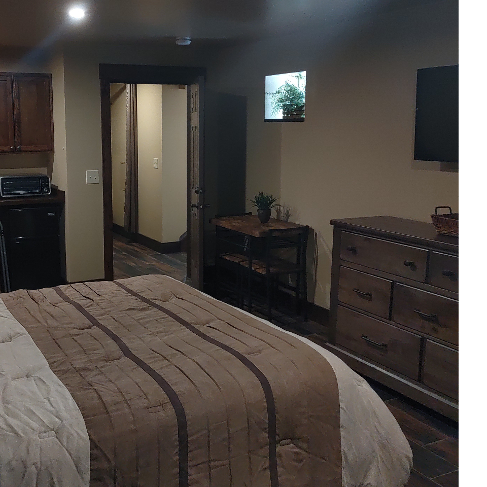 Beautiful Studio Suite - Photo 4