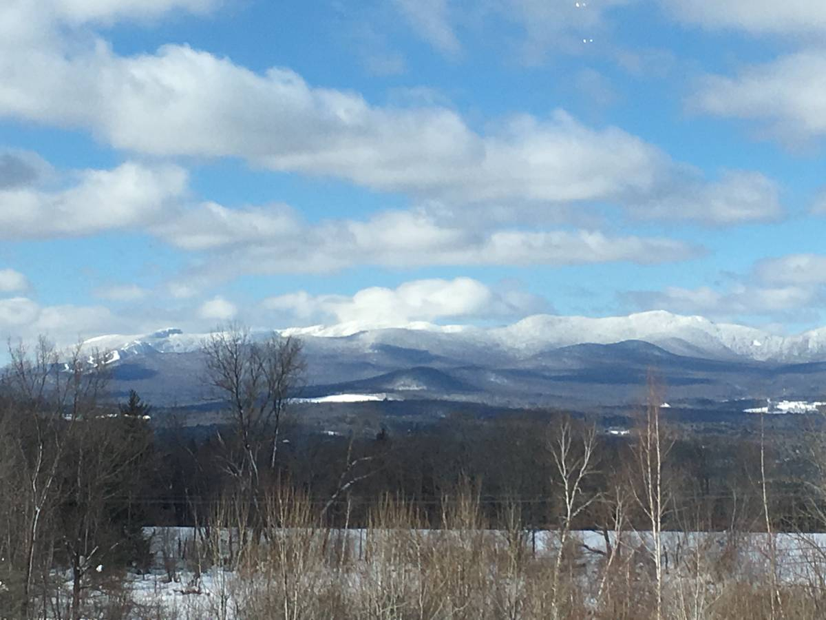 Beautiful Mountain Views - Photo 12