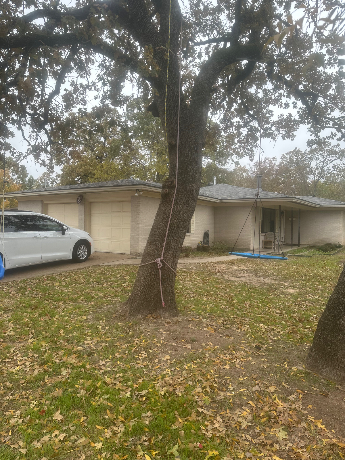 -Bryan Texas - Photo 7