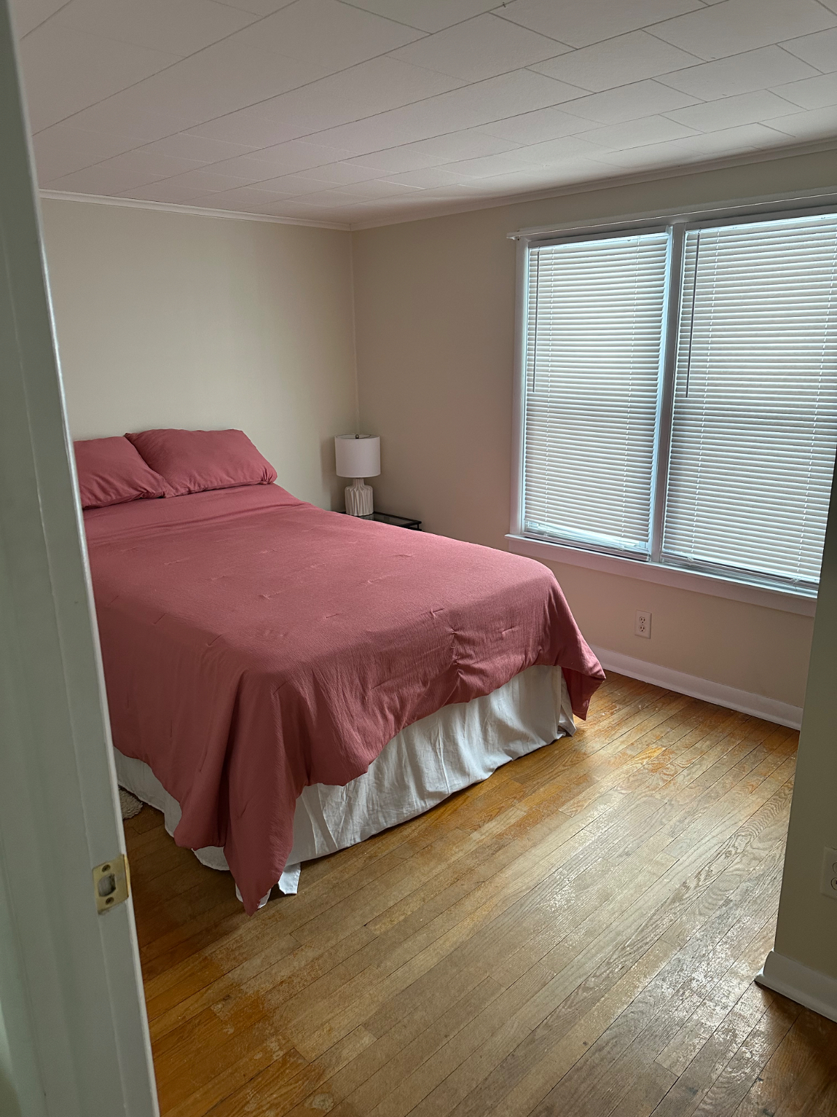 Cozy 1 Bedroom Apartment in Quiet Neighborhood - Photo 4