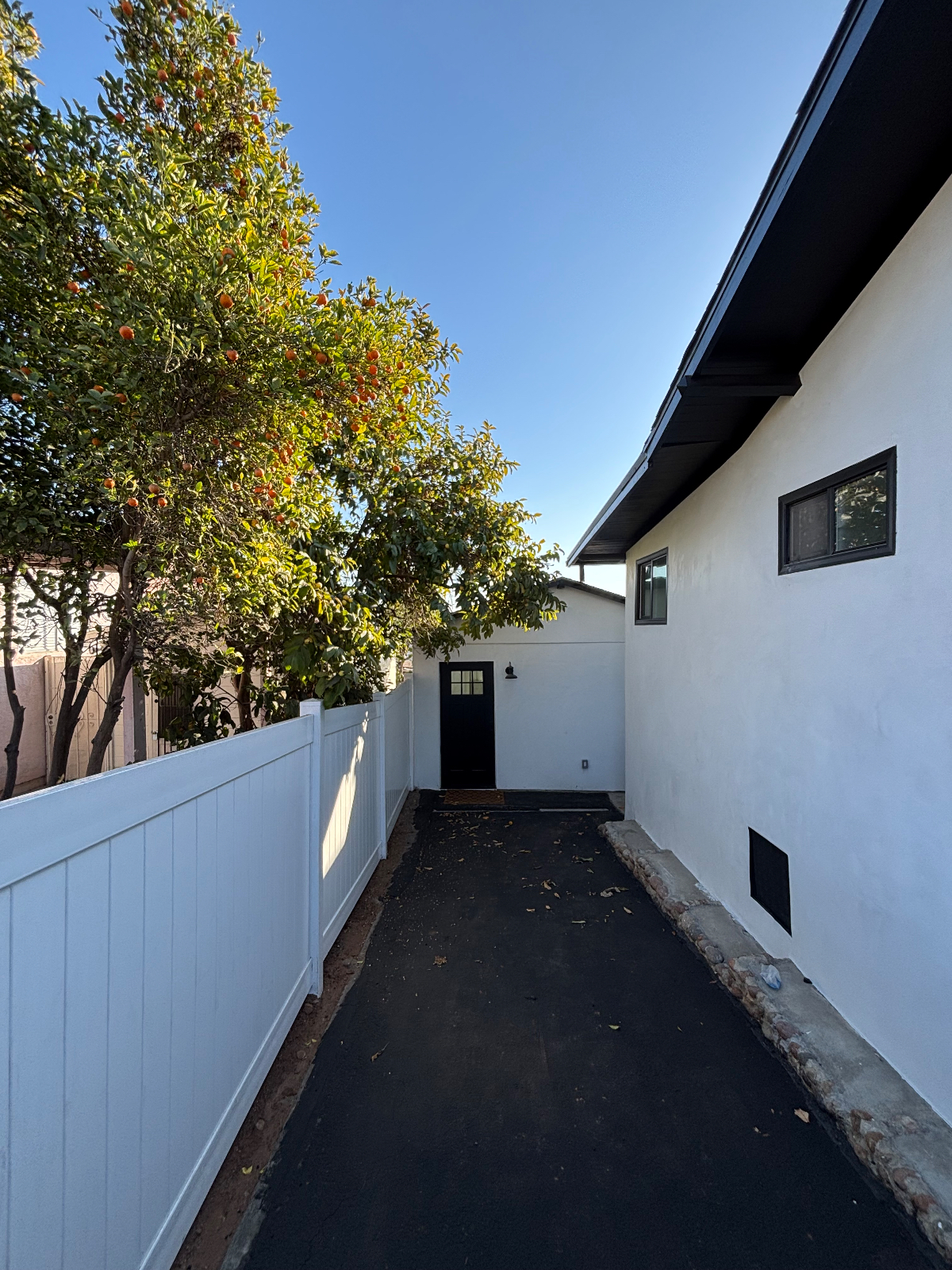 Brand new studio with parking and backyard- South Park - Photo 2