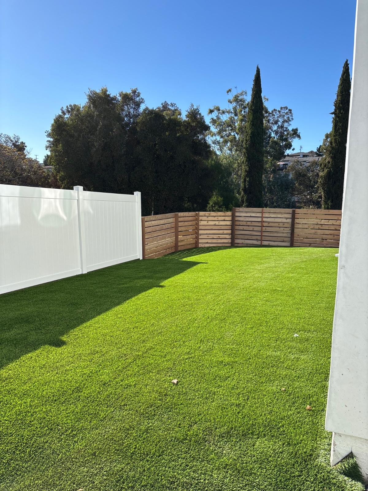 Brand new studio with parking and backyard- South Park - Photo 6