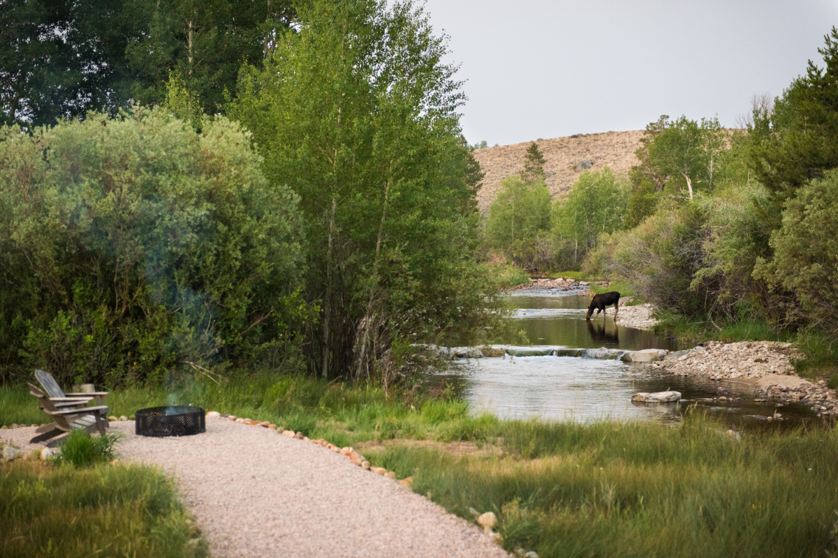 River Bend Cabin - Photo 12