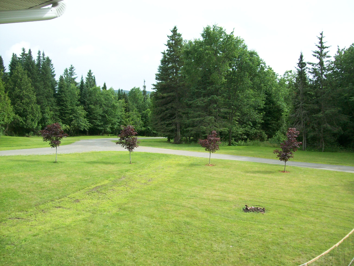 Beautiful, Huge 2 bedroom apartment with all the conveniences - Photo 2