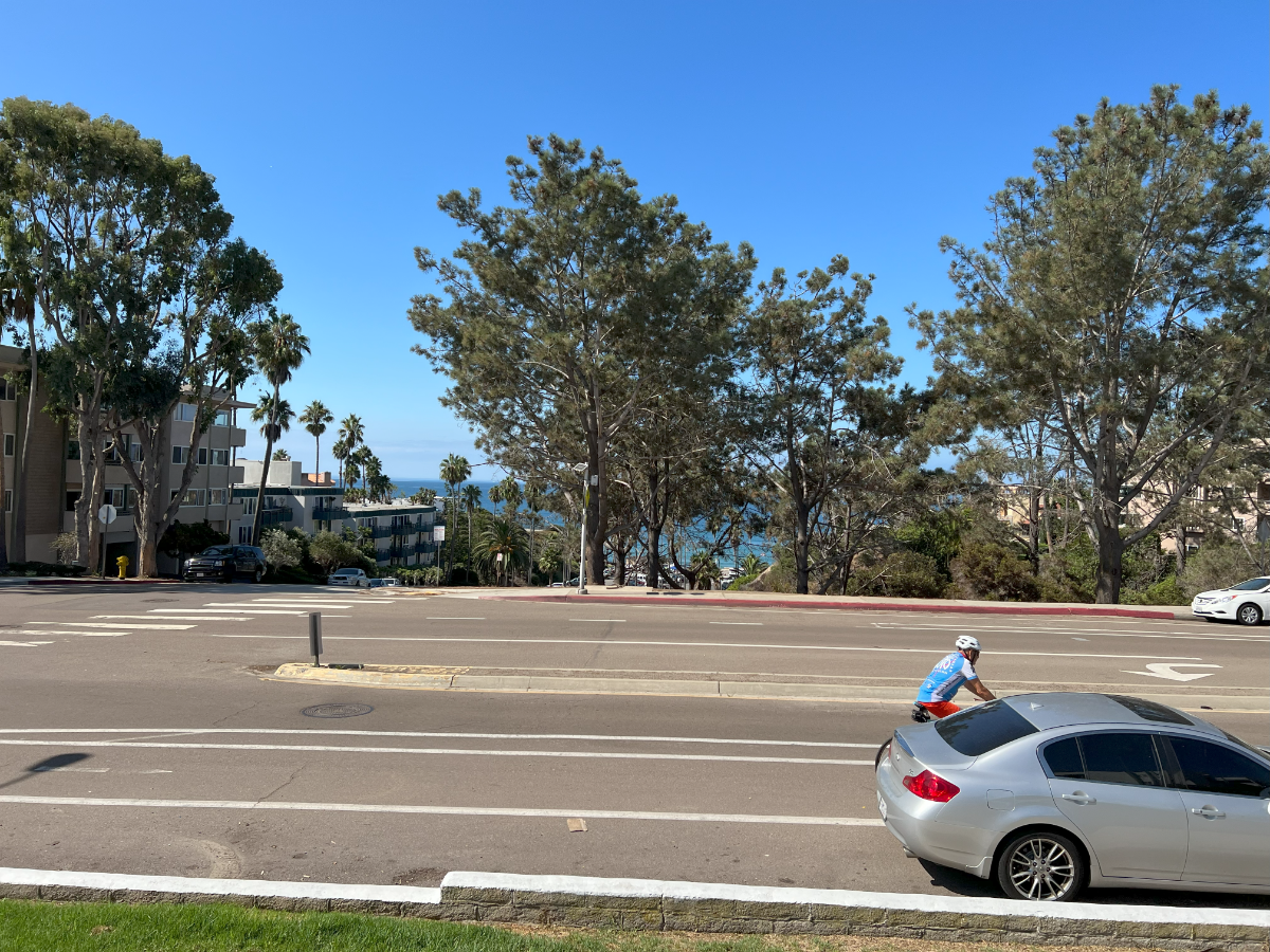 Coastal Master Suite | 10 Min to UCSD & Scripps | Parking Included - Photo 2
