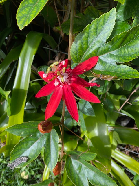 Red Road Retreat - Photo 2