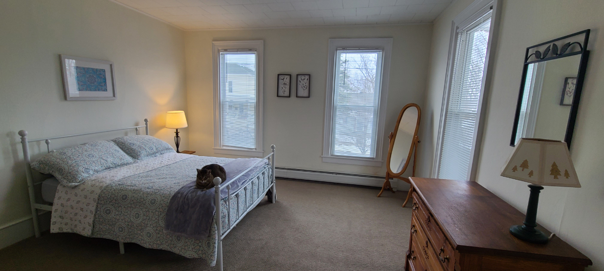 Comfortable and convenient Canandaigua 1 bedroom with separate office - Photo 3
