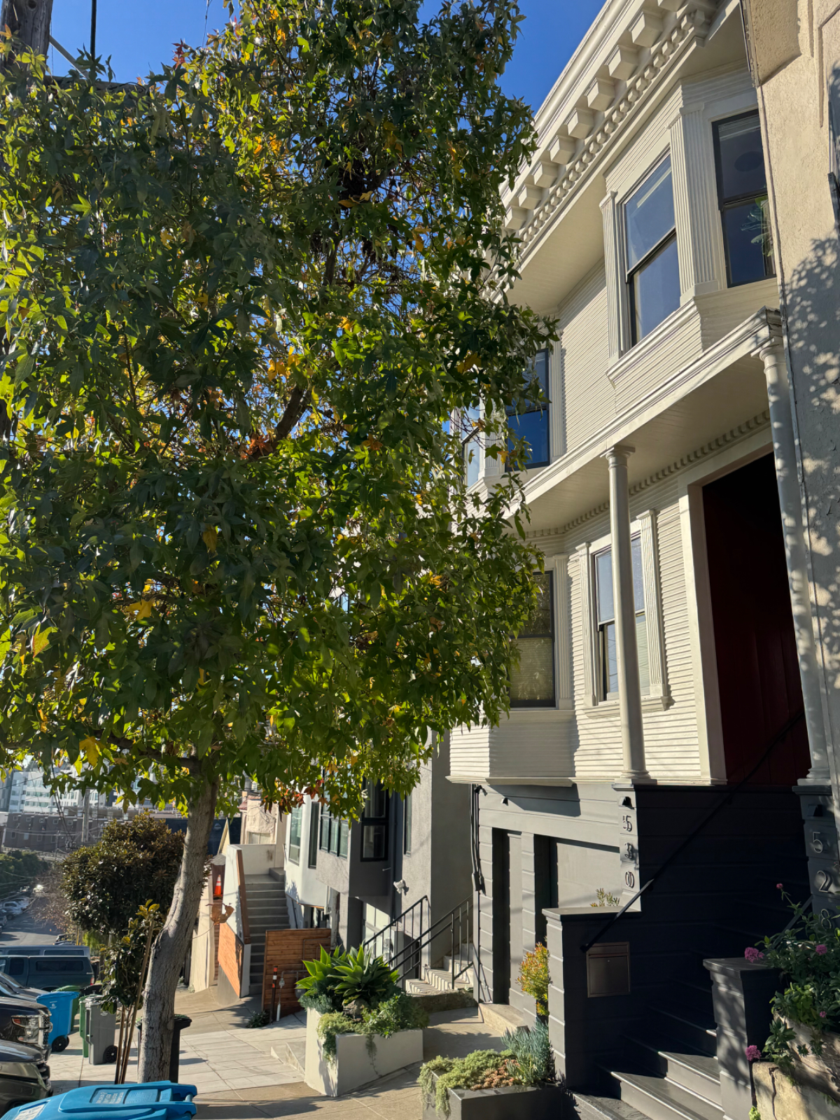 Potrero Hill flat 2 bedroom, 2 bath, plus office - housecleaning incl - Photo 1
