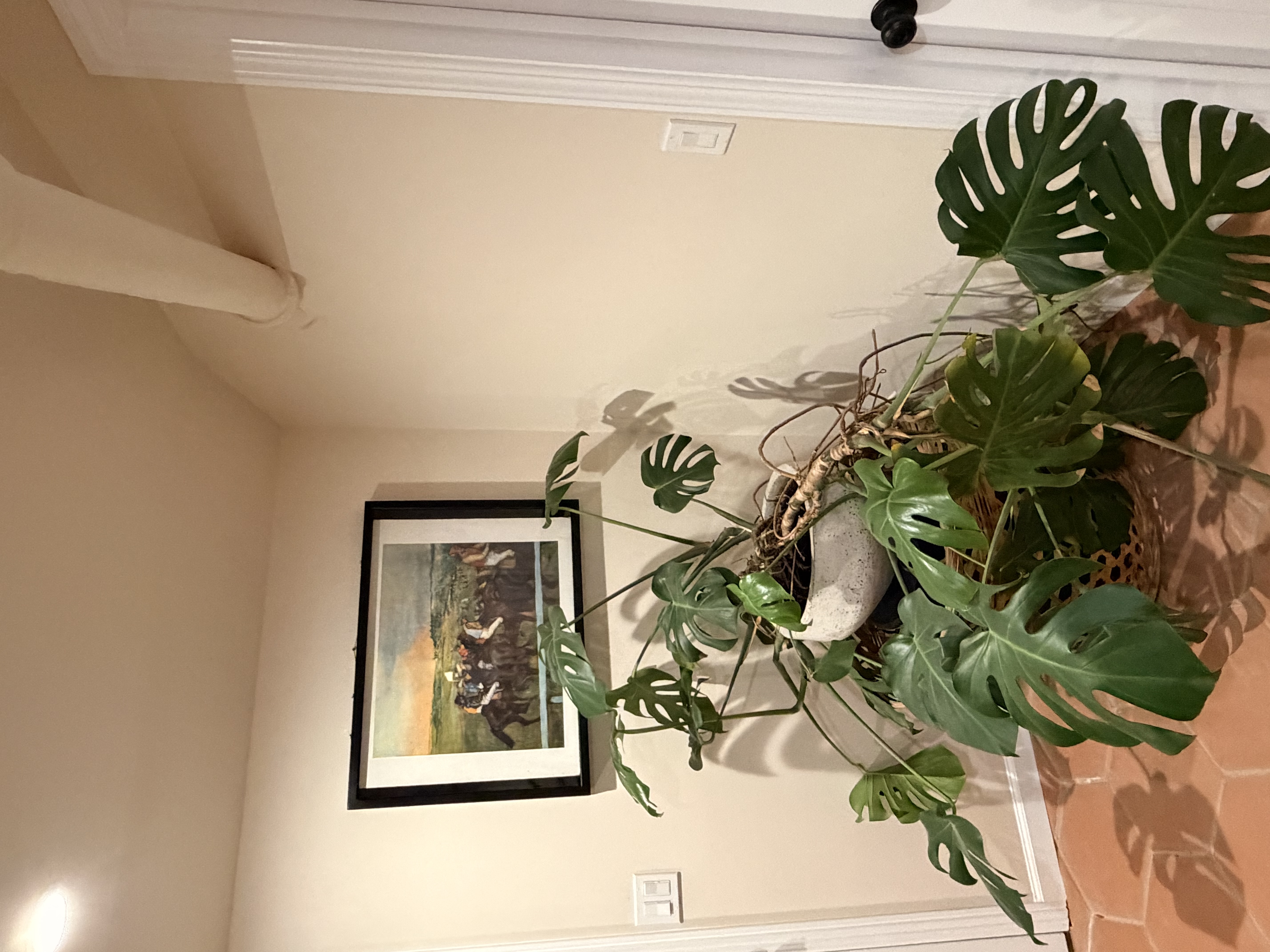 Charming San Francisco Gem--Spacious & Cozy 2BR Apartment with Modern Amenities --Your Urban Sanctuary Awaits - Photo 6