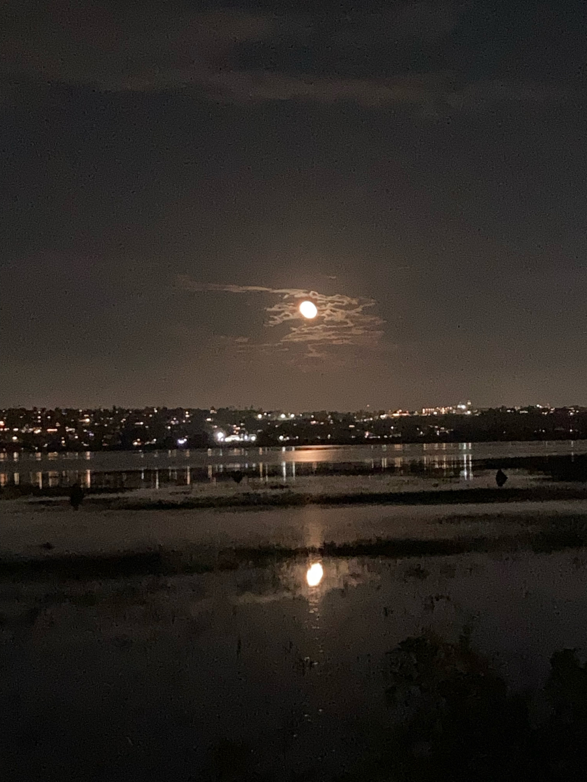 Mission Bay/Crown Point Unique condo on wetland preserve - Photo 3