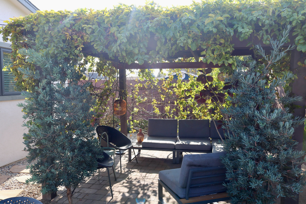Boho Bungalow Near Downtown and Hospitals - Photo 5