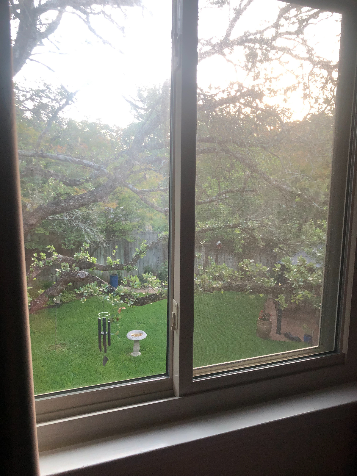 Private Room / Bath  in North Austin close to St David RR Med Center - Photo 8