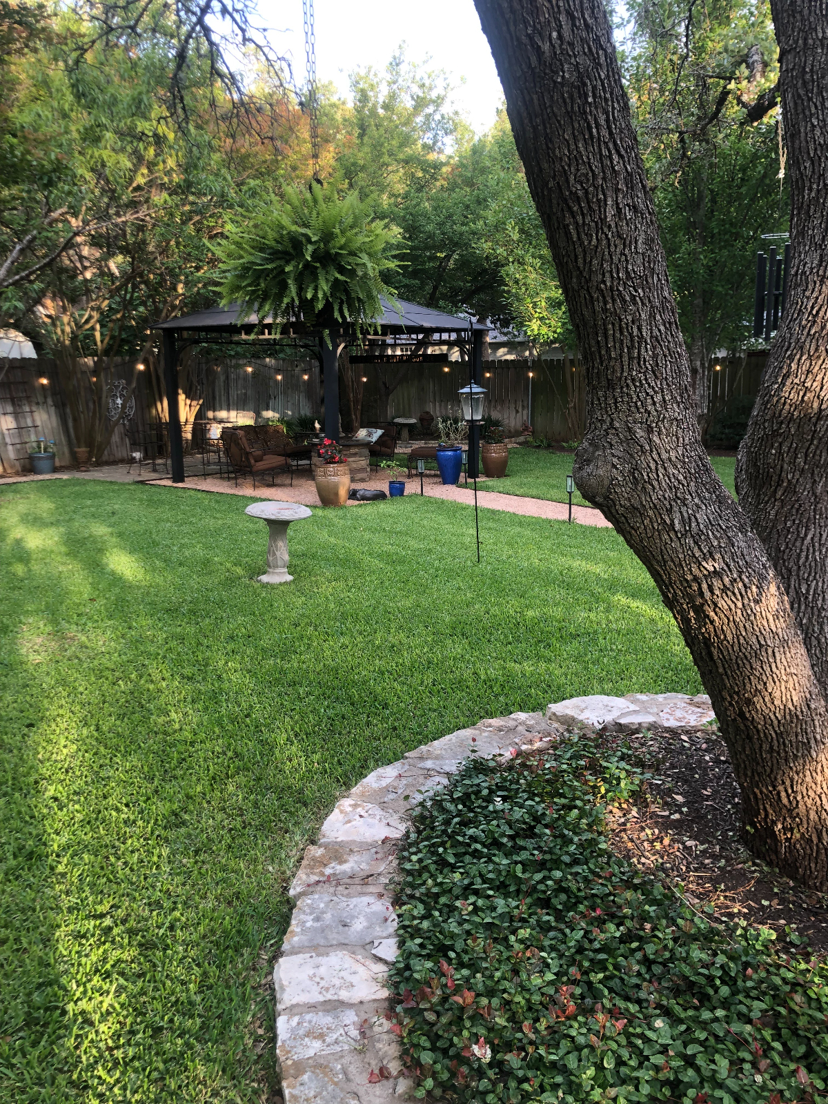Private Room / Bath  in North Austin close to St David RR Med Center - Photo 11