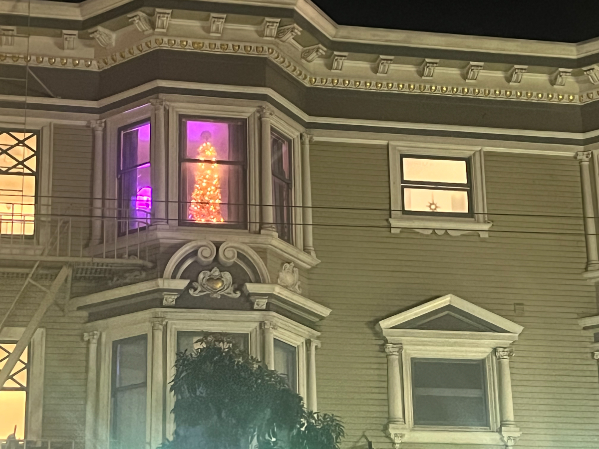Large Room with shared bathroom, Haight Ashbury, San Francisco, by Golden Gate Park and UCSF - Photo 5