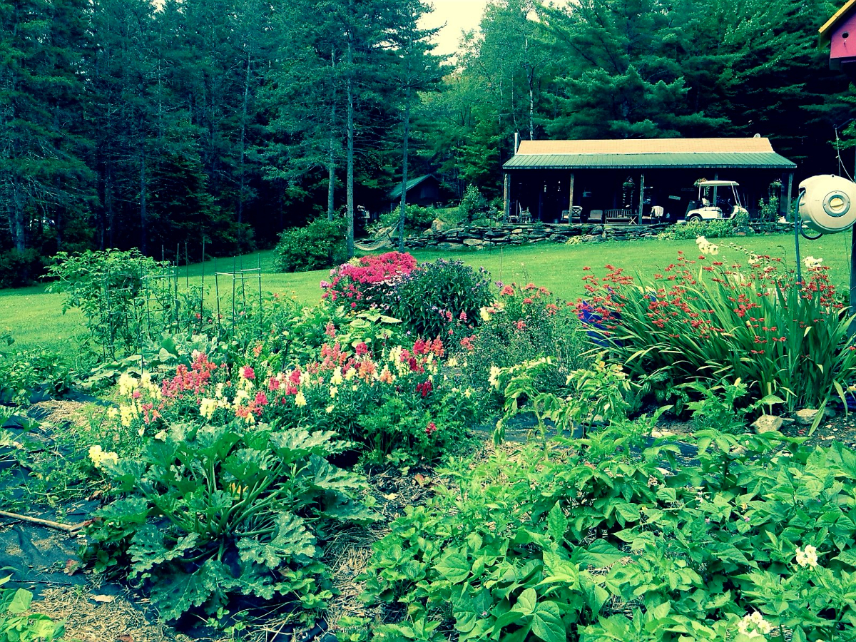 Cozy Cabin with Views - Photo 1