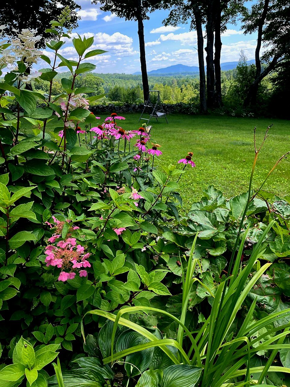 Cozy Cabin with Views - Photo 10