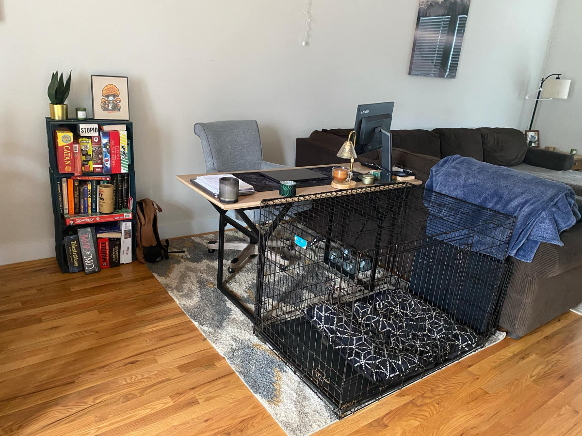 Private room & bathroom - dog friendly w/fenced in yard - Photo 7