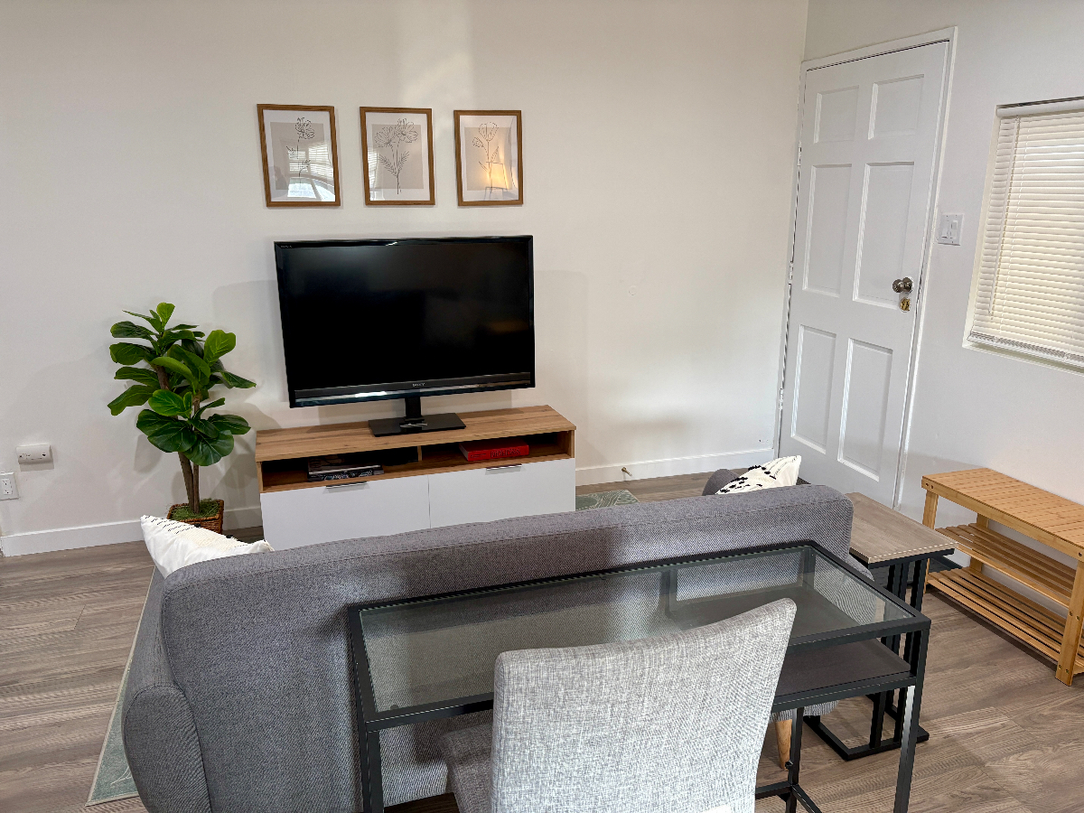 Freshly Renovated Studio Apartment - Quiet Neighborhood - Photo 5