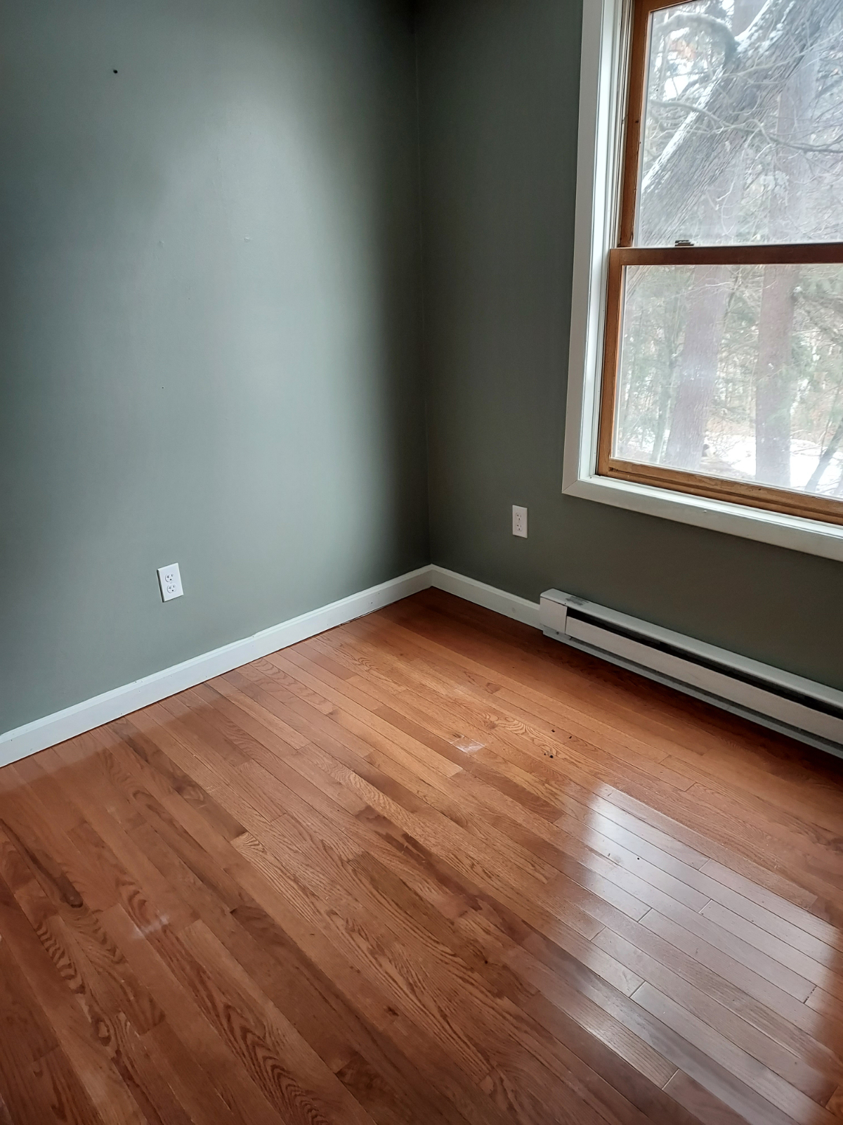 Adirondack Bungalow - Photo 7