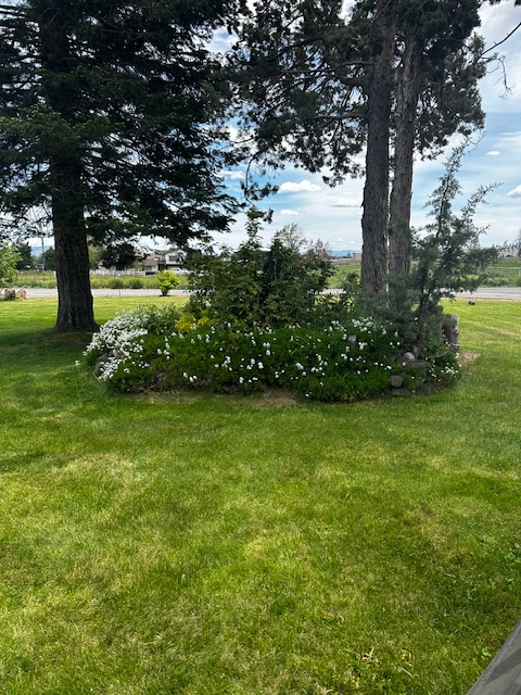3 BRM /2 BA Spacious Newly Remodeled Home - Photo 4