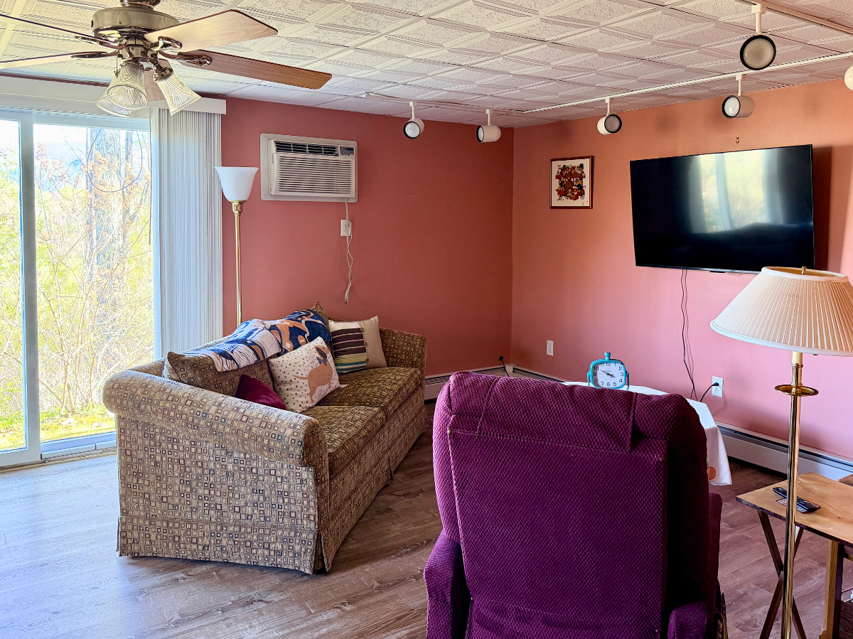 Delightful Private Room, Private bath and living space in Manchester VT - Photo 4