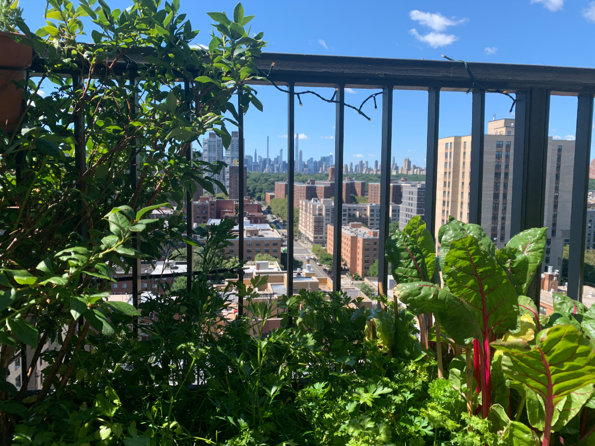 Private Bedroom with Bathroom in Uptown NYC Airy 2bdr/2bth with Fantastic Views - Photo 5
