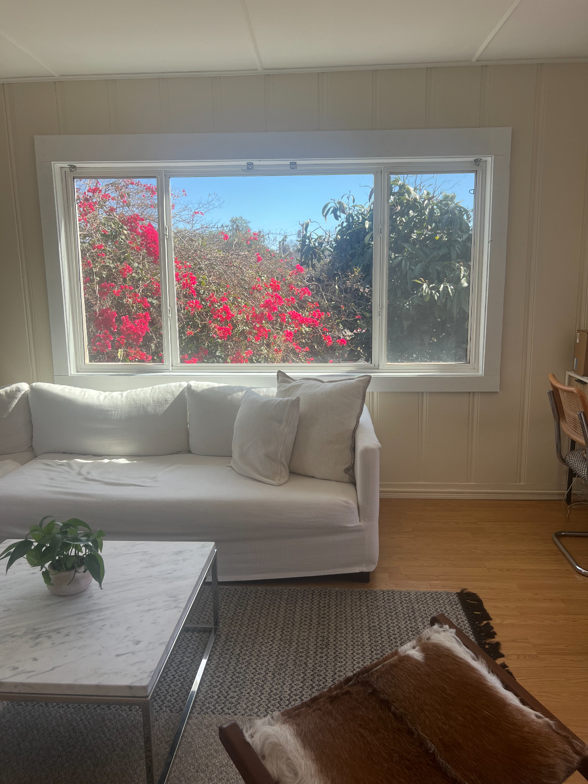 Charming 1BR Bungalow in Vista California Peaceful Pet Friendly and Cold Plunge - Photo 6