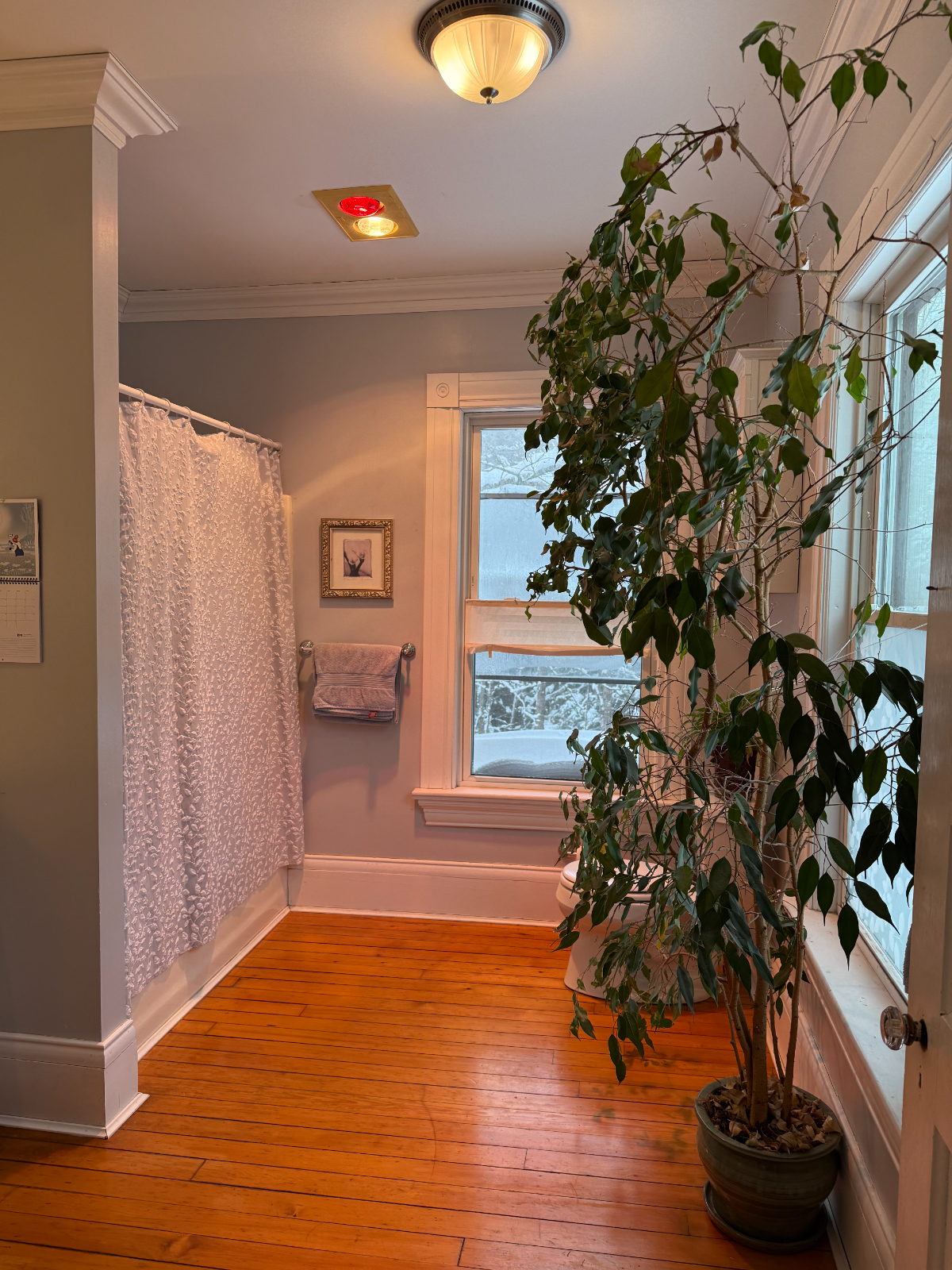 Calm, Clean Primary suite in historic/spacious home, 1 mile from Adirondack Health (renting to femal - Photo 6