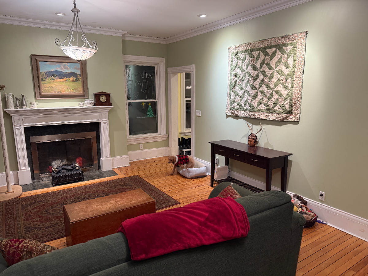 Calm, Clean Primary suite in historic/spacious home, 1 mile from Adirondack Health (renting to femal - Photo 11