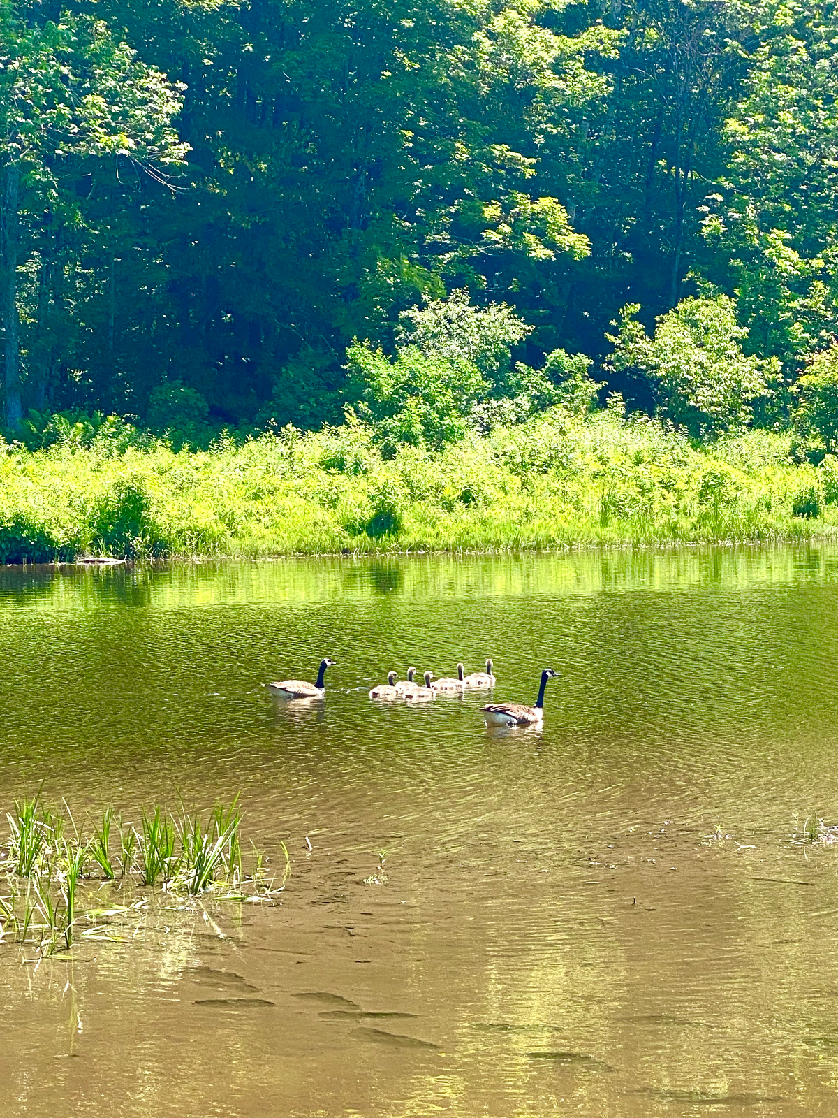 Adorable home on river walk to town - Photo 9