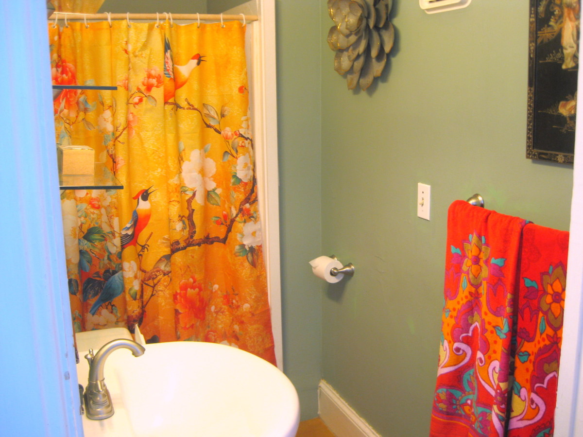 Beautiful Fully Furnished 1 Bedroom Apartment Chester, VT - Photo 9