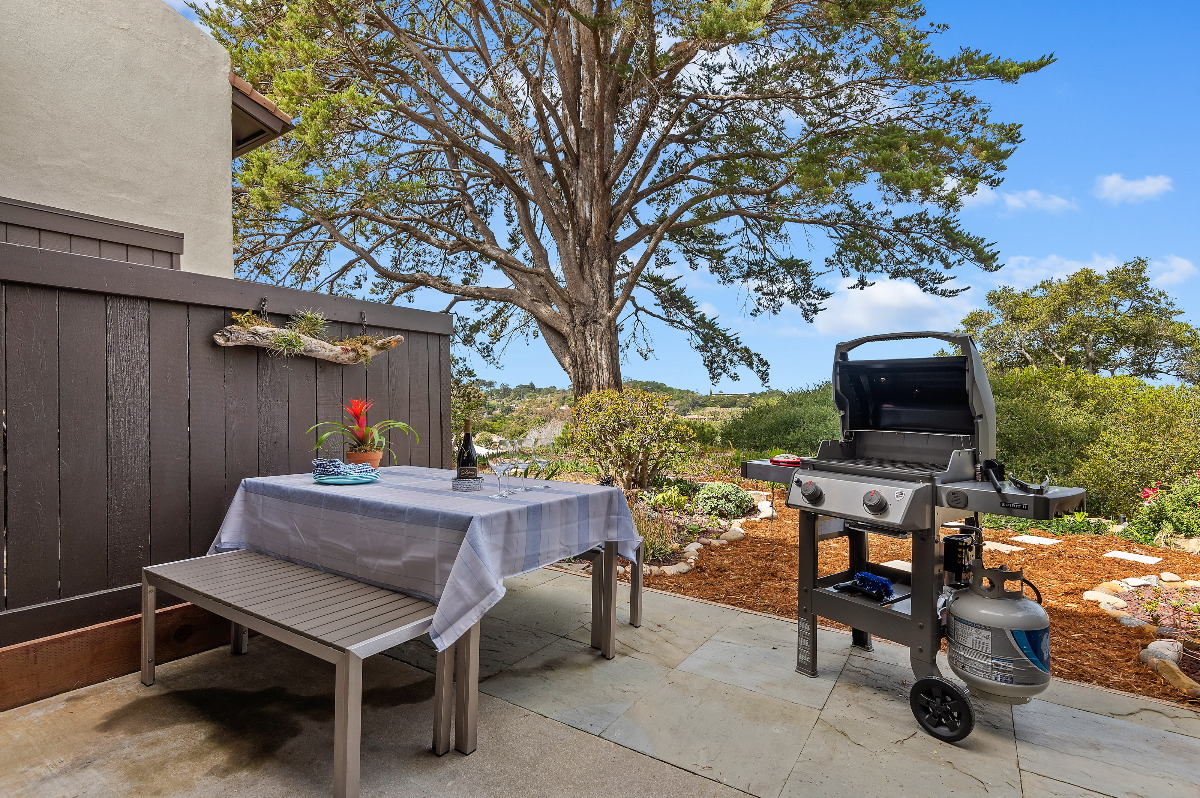Buena Vista condo- Downtown Santa Barbara - Photo 6