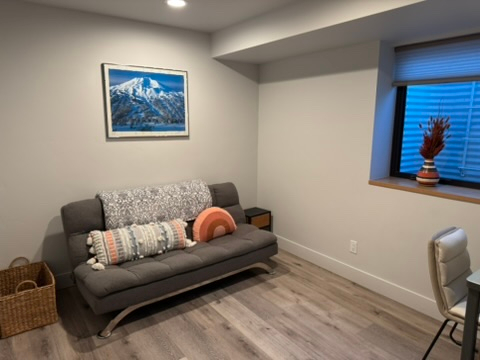 Westside Deluxe Apt - Photo 6