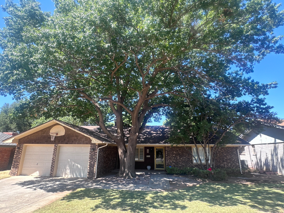 Recently updated 4BR-2BA in quite neighborhood and centrally located - Photo 10