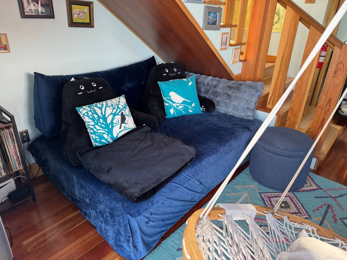 Tiny House, Walk to UVMMC, Available 12/1/26-4/30/27, 1900/month, 1 person - Photo 8