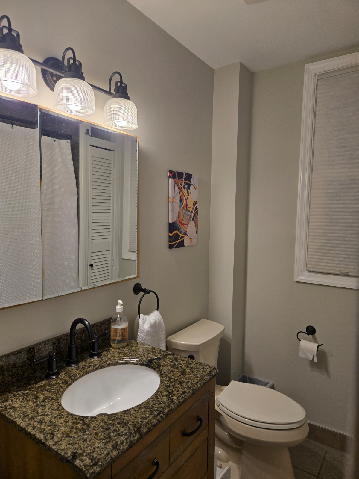 Two-bedroom apt in heart of Sleepy Hollow - Photo 12
