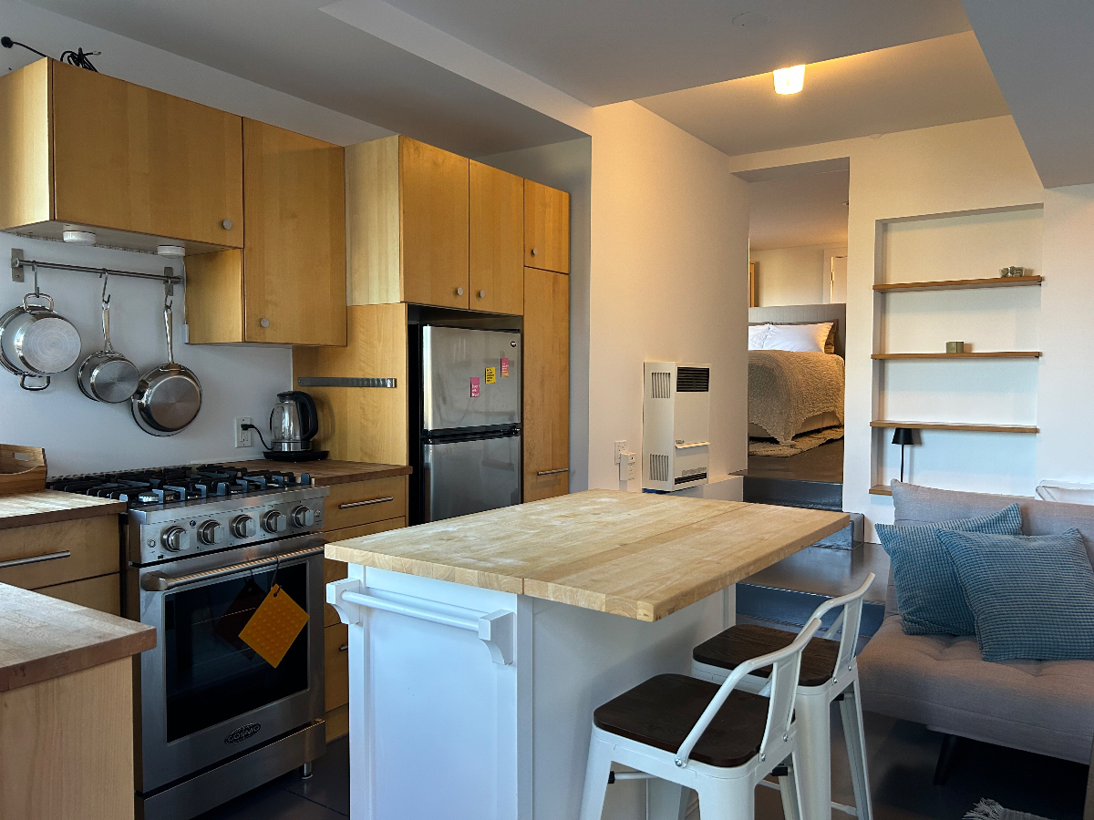 Luxe, bright private contemporary garden apt in Bernal Heights - Photo 4