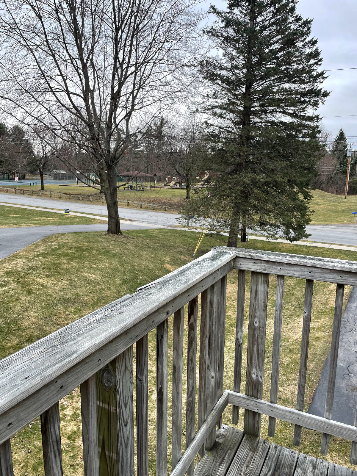 Newly Renovated Quiet Private Comfortable 1Bed/1Bath Apartment, Separate Entrance - Photo 11