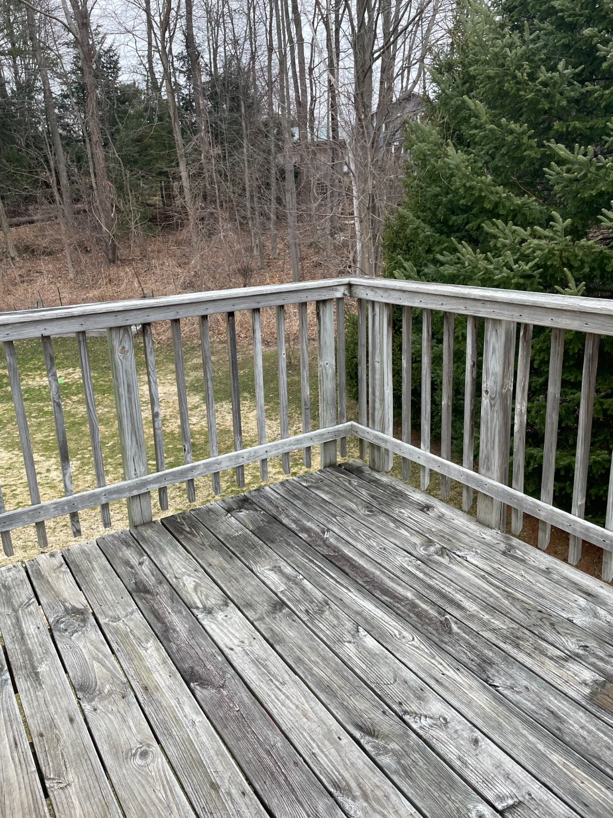 Newly Renovated Quiet Private Comfortable 1Bed/1Bath Apartment, Separate Entrance - Photo 12