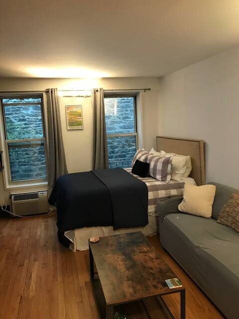 Brick Walled, Spacious Studio w/ in-unit washer/dryer - Photo 4