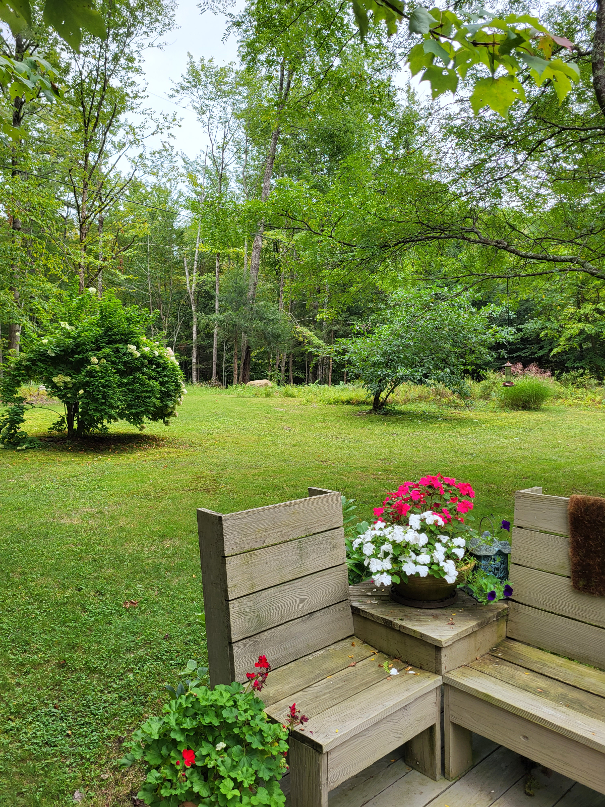 Woodsy, quiet place in Richmond,Vt - Photo 1