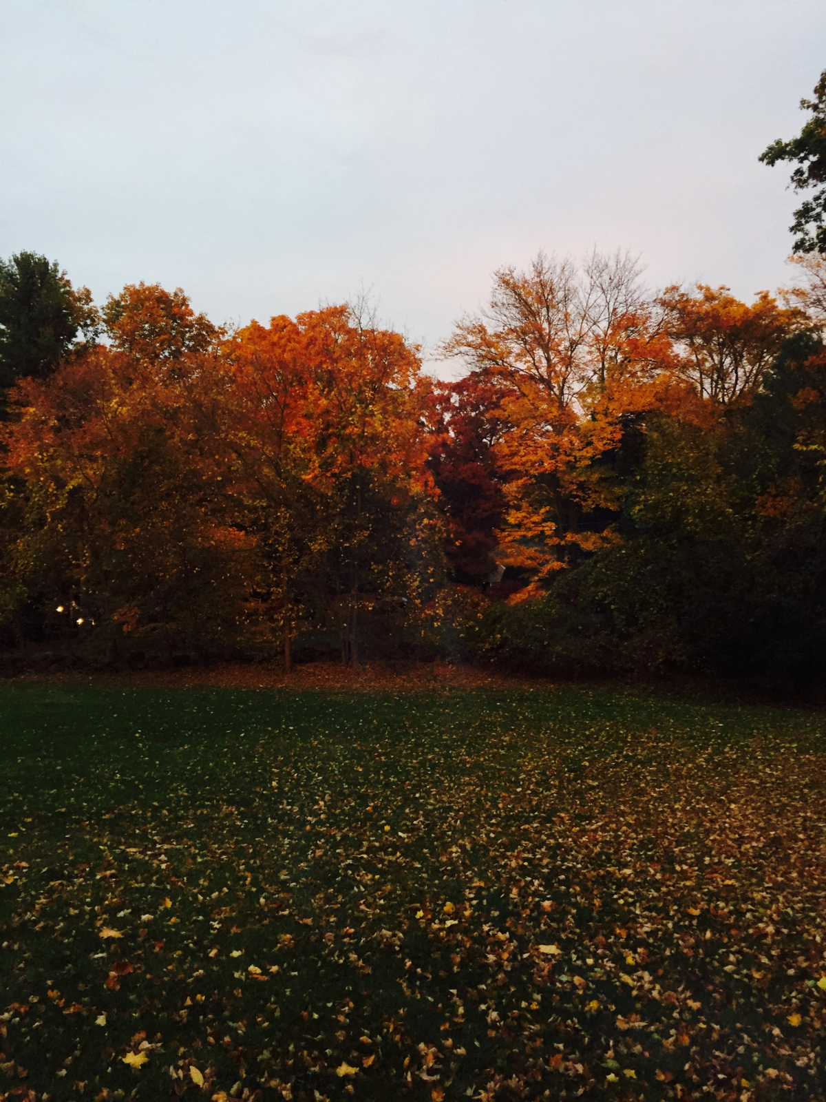 Westchester County-Hartsdale, NY 10530 - Photo 2