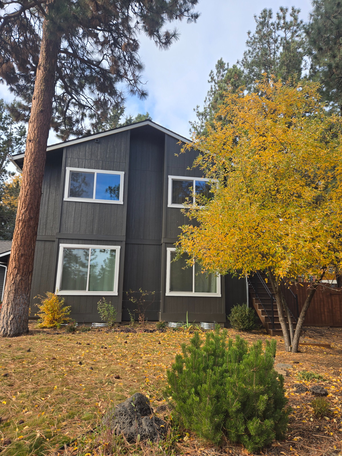 Studio in the Pines - Photo 2