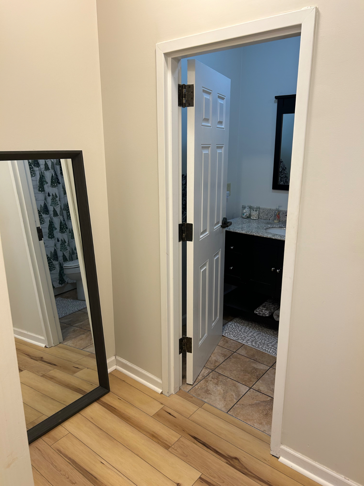 Furnished and Spacious 1br in Rochester - Photo 12