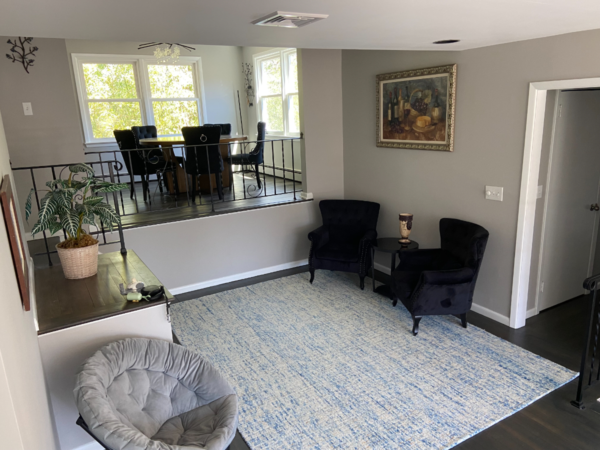 1 BR Plus Pullout Sofa if needed - Photo 1