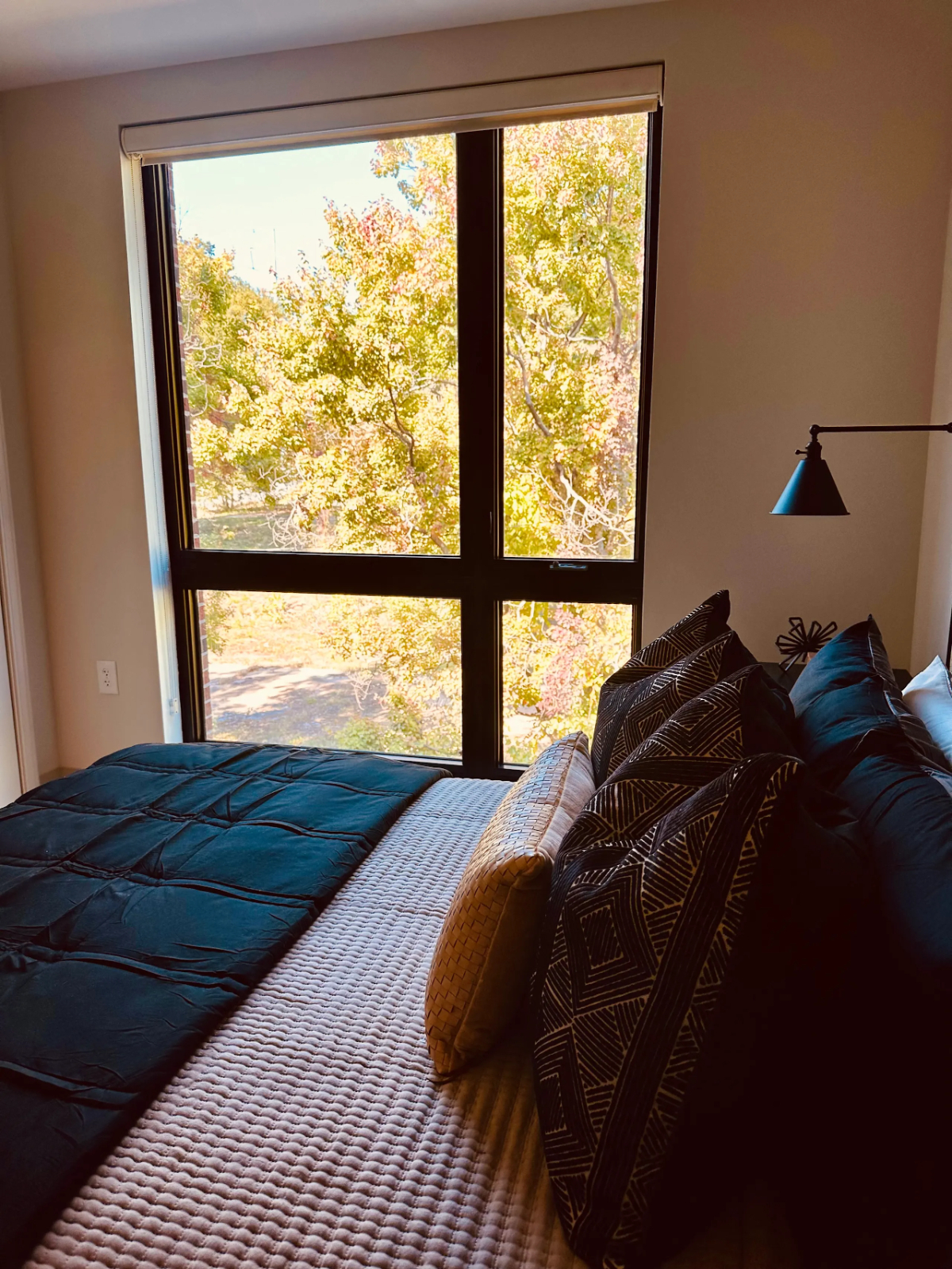 One Bedroom Apartments - Photo 6
