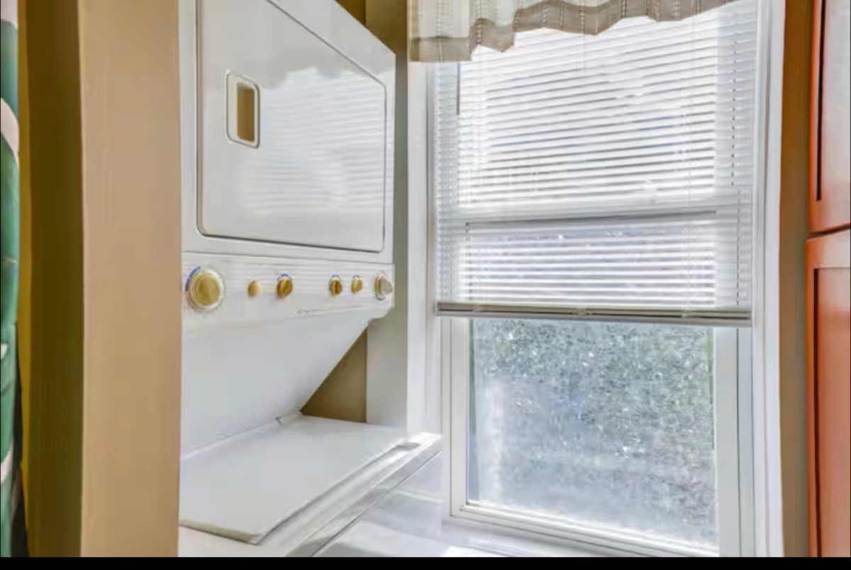 Lakeside - Historic Downtown Apartment - Photo 10