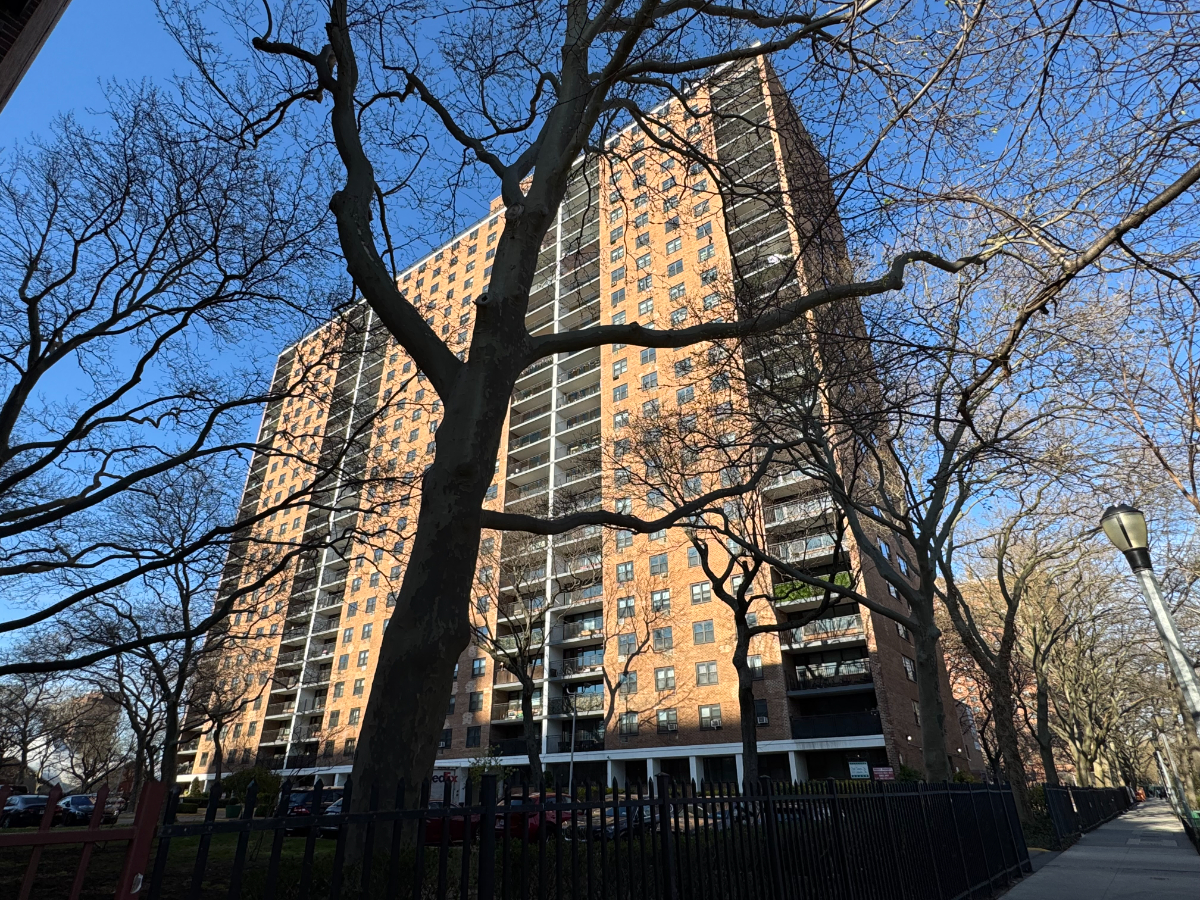 Cozy 1 BR in Clinton Hill, Brooklyn - Photo 8